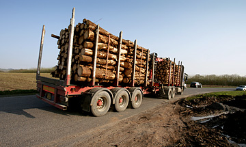 Articulated vehicle transporting wood