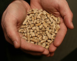Cupped hands holding wood pellets