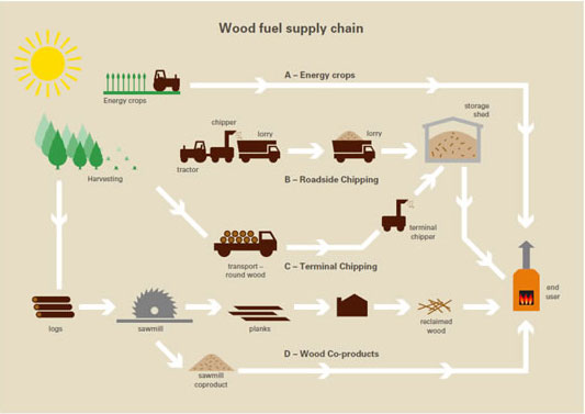 Supply chain