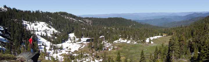 Forested valley 