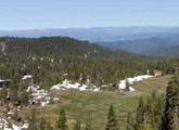 Forested valley