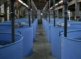 Large building housing water tanks