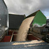 Woodchip being delivered to store
