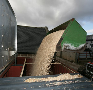 Tractor delivering to wood fuel store
