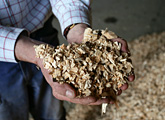 Handful of wood chips