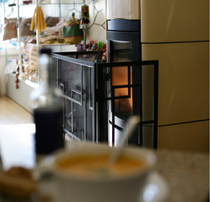 Wood fuel boiler in domestic situation