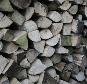 Chopped stacked logs