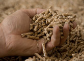 Assessing wood pellets