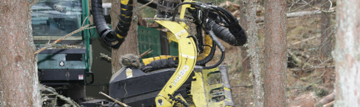 Forestry equipment at work
