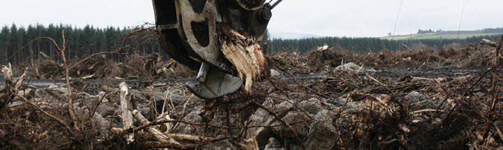 Harvesting wood material