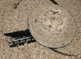 Auger feeding wood chip
