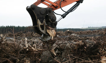 Harvesting wood material
