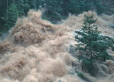 Water crashing through wooded valley