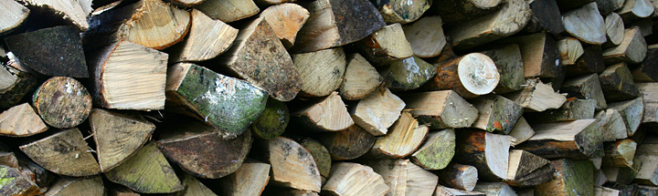 Chopped stacked logs