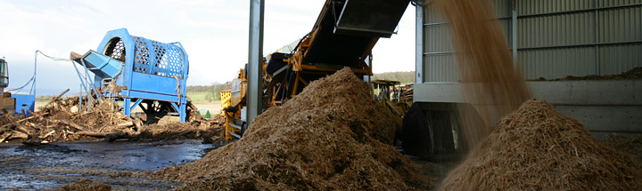 Waste wood at sawmill