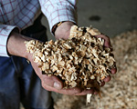 A handful of wood chips