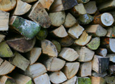 Chopped stacked logs