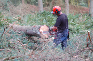 Chainsaw operator